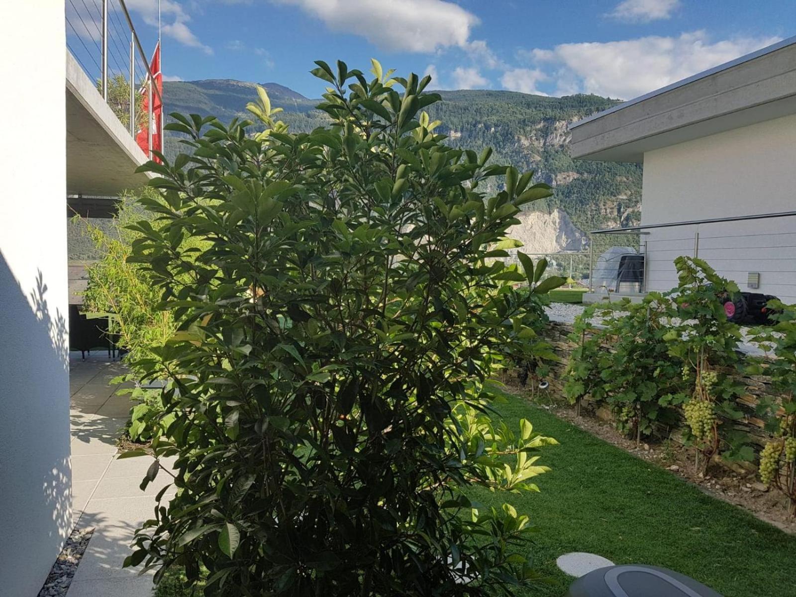 Saint-Léonard 小草甸旅馆酒店 客房 照片